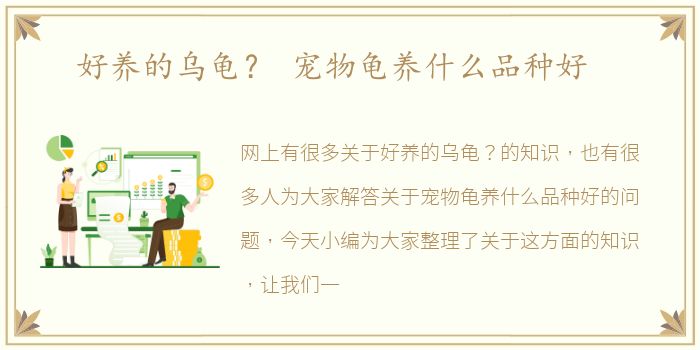 好养的乌龟？ 宠物龟养什么品种好