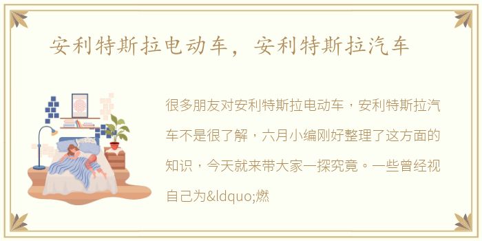 安利特斯拉电动车，安利特斯拉汽车