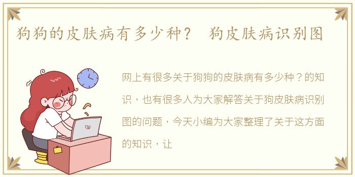 狗狗的皮肤病有多少种？ 狗皮肤病识别图