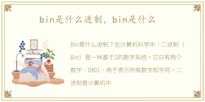 bin是什么进制，bin是什么