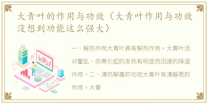 大青叶的作用与功效（大青叶作用与功效没想到功能这么强大）