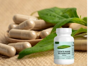 探索大自然的大脑助推器Vitamynn有机狮鬃菇