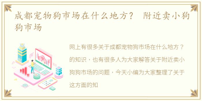 成都宠物狗市场在什么地方？ 附近卖小狗狗市场