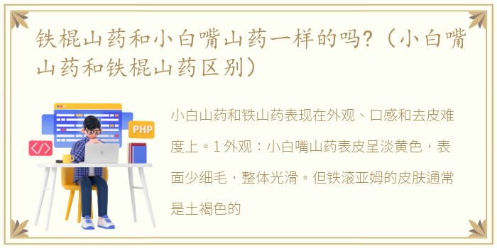 铁棍山药和小白嘴山药一样的吗?（小白嘴山药和铁棍山药区别）