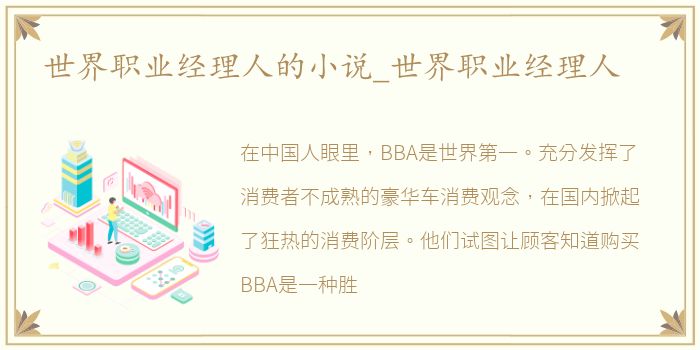 世界职业经理人的小说_世界职业经理人