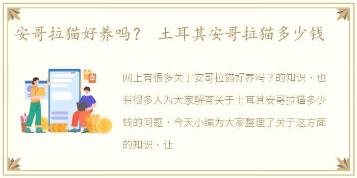 安哥拉猫好养吗？ 土耳其安哥拉猫多少钱