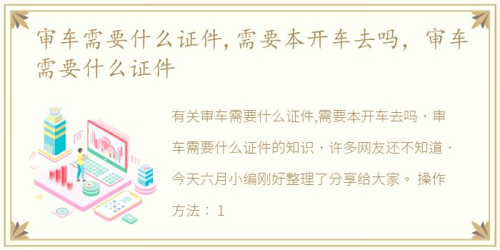 审车需要什么证件,需要本开车去吗，审车需要什么证件