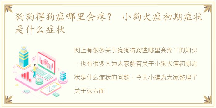 狗狗得狗瘟哪里会疼？ 小狗犬瘟初期症状是什么症状