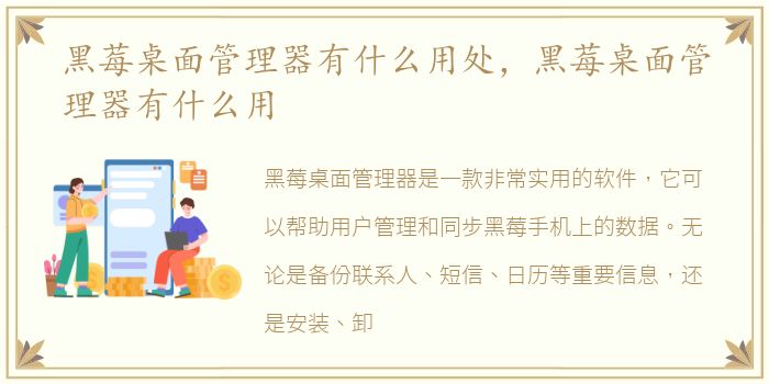 黑莓桌面管理器有什么用处，黑莓桌面管理器有什么用