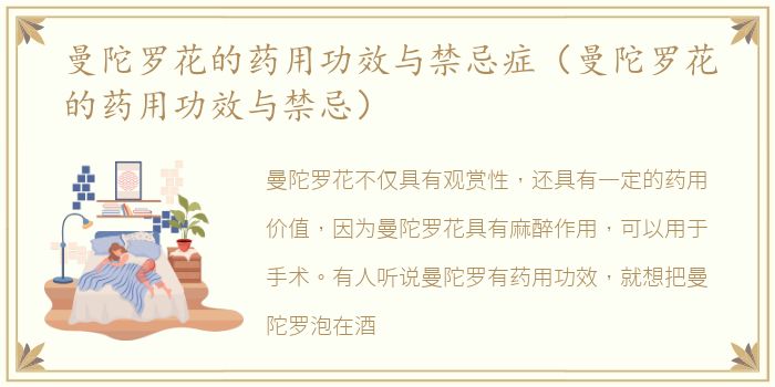 曼陀罗花的药用功效与禁忌症（曼陀罗花的药用功效与禁忌）