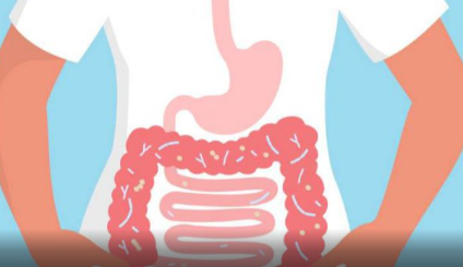 肠道炎症芽囊菌ST7代谢可引发肠道疾病