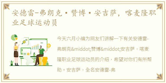 安德雷-弗朗克·赞博·安吉萨，喀麦隆职业足球运动员