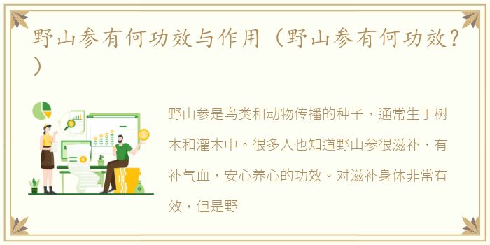 野山参有何功效与作用（野山参有何功效？）
