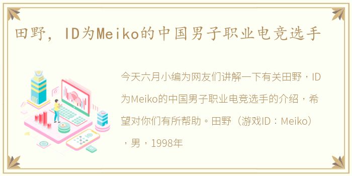 田野，ID为Meiko的中国男子职业电竞选手