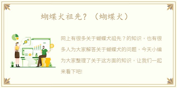 蝴蝶犬祖先？（蝴蝶犬）