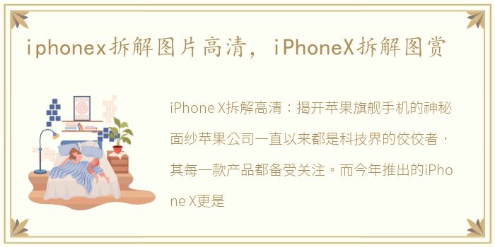 iphonex拆解图片高清，iPhoneX拆解图赏