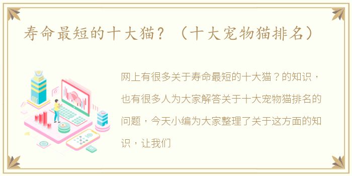 寿命最短的十大猫？（十大宠物猫排名）