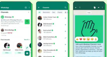 WhatsApp很快将允许频道所有者添加新管理员