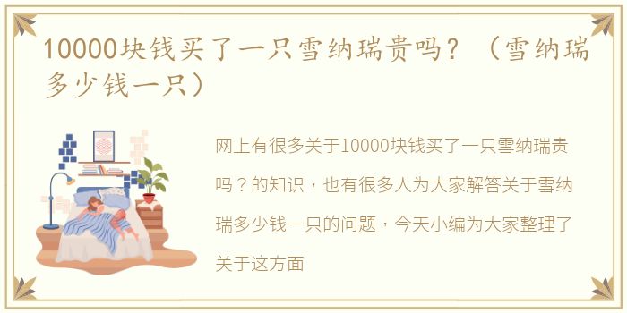 10000块钱买了一只雪纳瑞贵吗？（雪纳瑞多少钱一只）