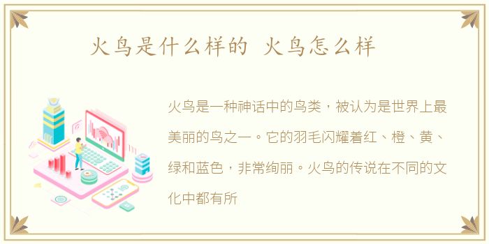 火鸟是什么样的 火鸟怎么样