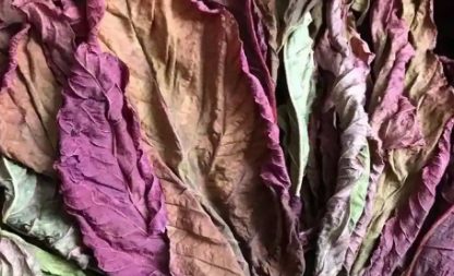 Laal Saag是什么为什么它值得在您的厨房中占有一席之地