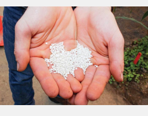 回收磷肥减少养分淋失保持产量