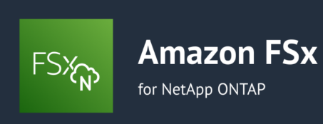 亚马逊FSx for NetApp ONTAP性能大幅提升