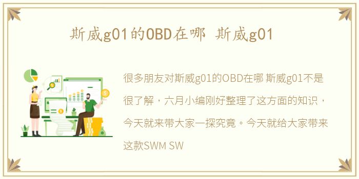斯威g01的OBD在哪 斯威g01