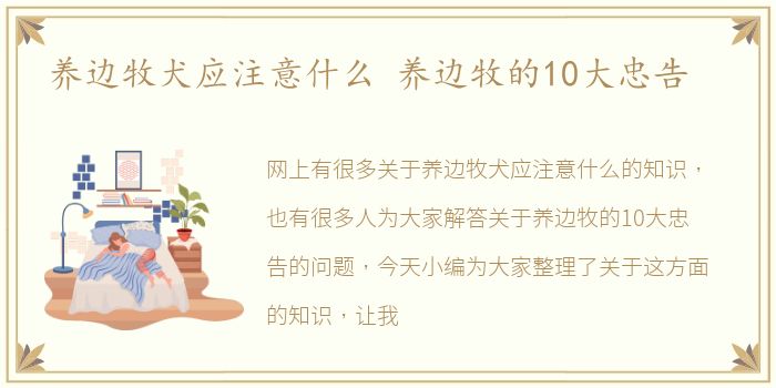 养边牧犬应注意什么 养边牧的10大忠告