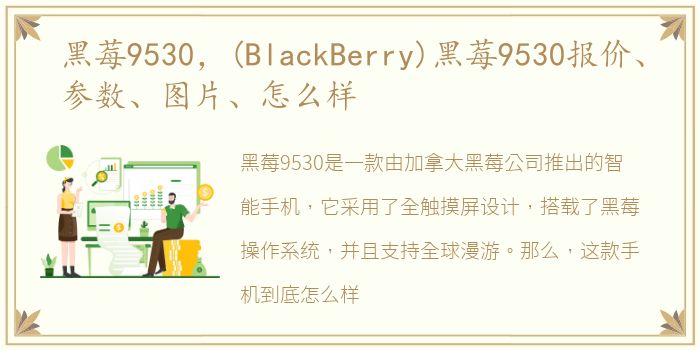 黑莓9530，(BlackBerry)黑莓9530报价、参数、图片、怎么样