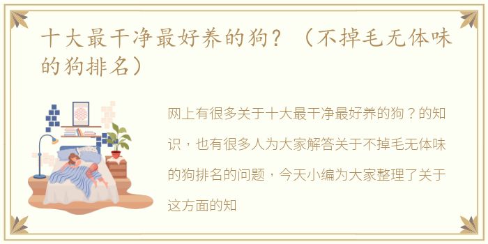 十大最干净最好养的狗？（不掉毛无体味的狗排名）
