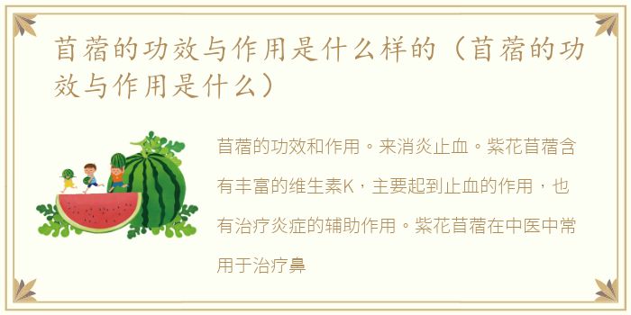 苜蓿的功效与作用是什么样的（苜蓿的功效与作用是什么）