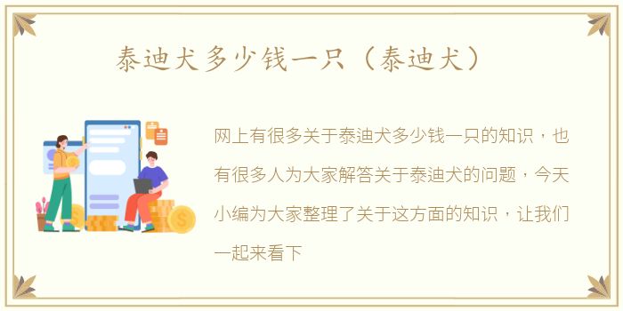 泰迪犬多少钱一只（泰迪犬）