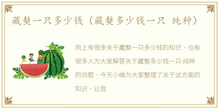 藏獒一只多少钱（藏獒多少钱一只 纯种）