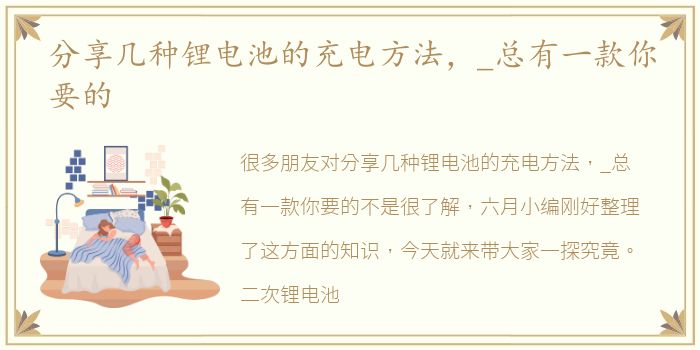分享几种锂电池的充电方法，_总有一款你要的