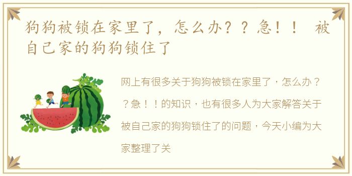狗狗被锁在家里了，怎么办？？急！！ 被自己家的狗狗锁住了