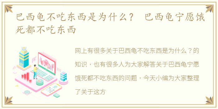 巴西龟不吃东西是为什么？ 巴西龟宁愿饿死都不吃东西