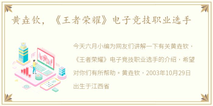 黄垚钦，《王者荣耀》电子竞技职业选手