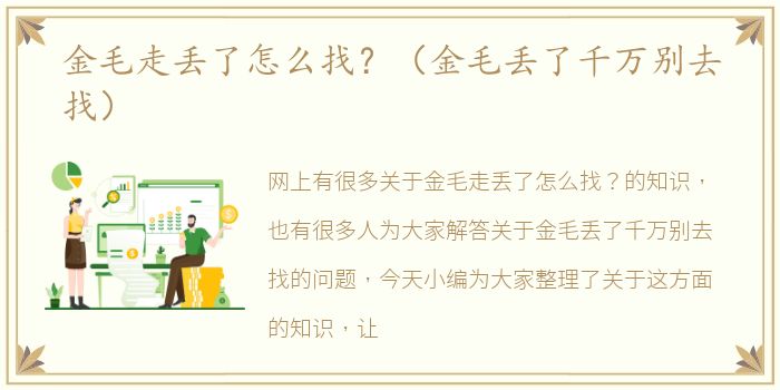 金毛走丢了怎么找？（金毛丢了千万别去找）