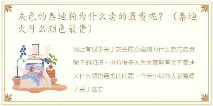 灰色的泰迪狗为什么卖的最贵呢？（泰迪犬什么颜色最贵）