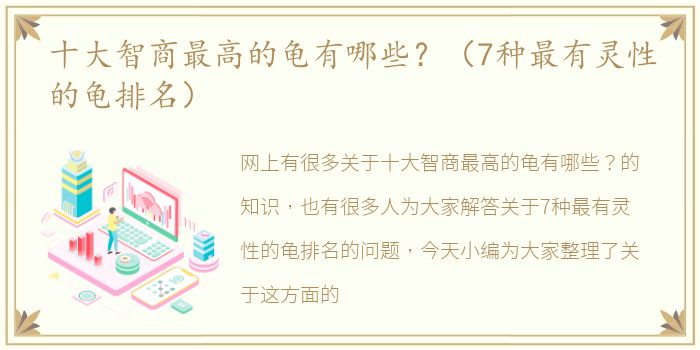 十大智商最高的龟有哪些？（7种最有灵性的龟排名）