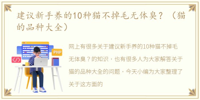 建议新手养的10种猫不掉毛无体臭？（猫的品种大全）