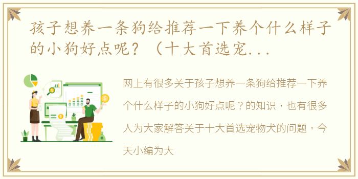 孩子想养一条狗给推荐一下养个什么样子的小狗好点呢？（十大首选宠物犬）