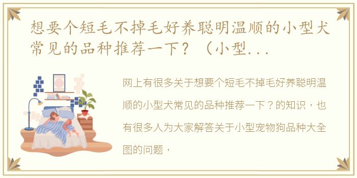 想要个短毛不掉毛好养聪明温顺的小型犬常见的品种推荐一下？（小型宠物狗品种大全图）