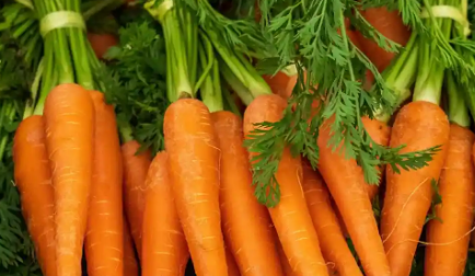 健康和风味的冬季胡萝卜食谱