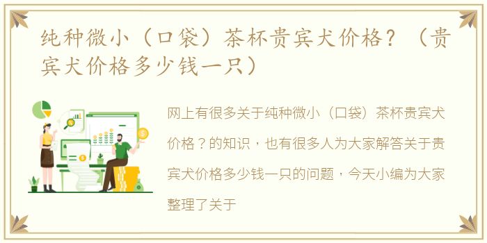 纯种微小（口袋）茶杯贵宾犬价格？（贵宾犬价格多少钱一只）