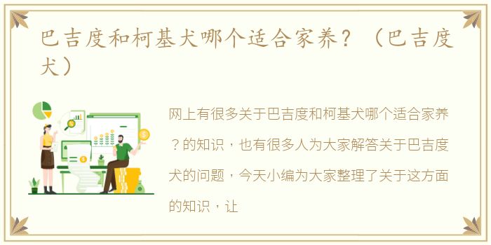巴吉度和柯基犬哪个适合家养？（巴吉度犬）