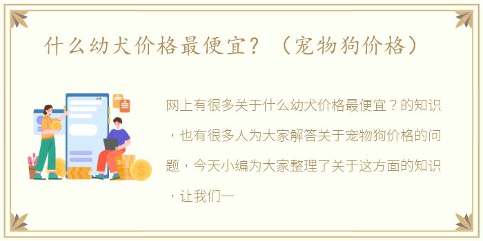 什么幼犬价格最便宜？（宠物狗价格）