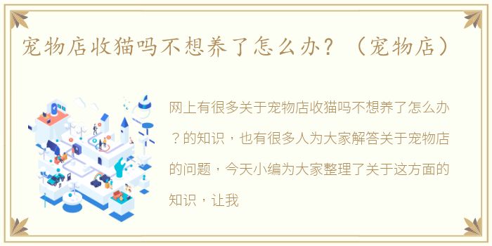 宠物店收猫吗不想养了怎么办？（宠物店）