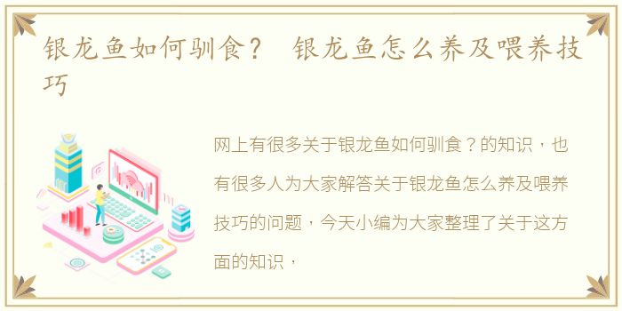 银龙鱼如何驯食？ 银龙鱼怎么养及喂养技巧
